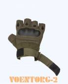 �������� �� �������� �������� | ���� olive